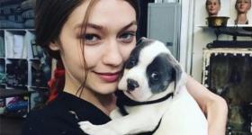 金牛女和双鱼男喜欢什么星座