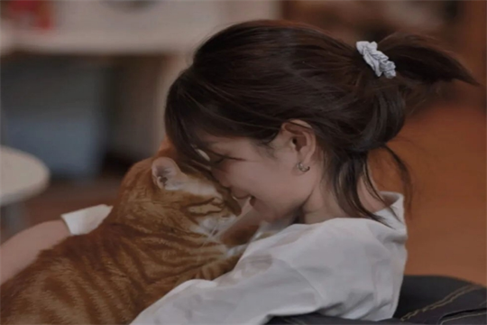 射手遇到白羊是啥感觉