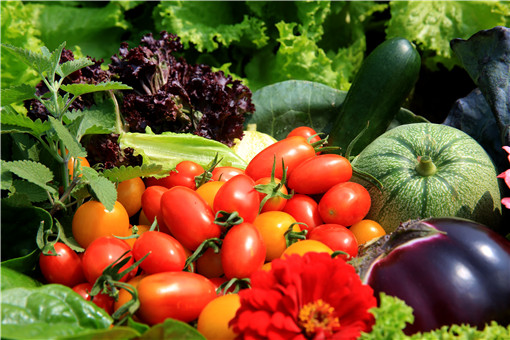 2024元旦、春节期间蔬菜如何保供稳价?农业农村部部署五方面举措